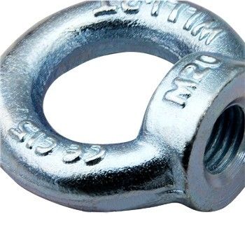 100% de inspecção antes do envio OEM forjado galvanizado aço de elevação de nozes de olho